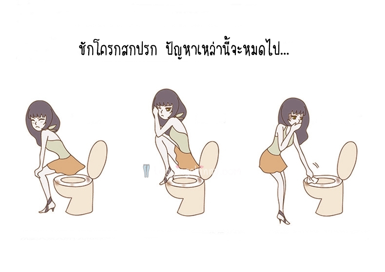 แผ่นรองอนามัยสำหรับครอบฝารองนั่งชักโครกเพื่อสุขภาพ 10 ชิ้น