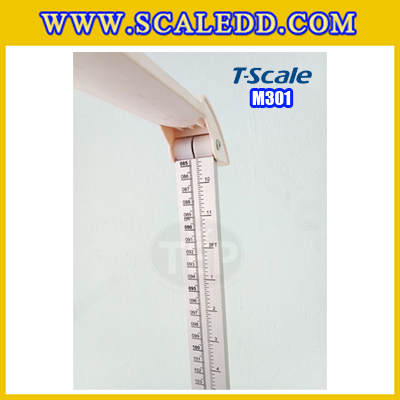 เครื่องชั่งน้ำหนักคน250kg เครื่องชั่งน้ำหนักคนแบบดิจิตอล250กิโลกรัม พร้อมที่วัดส่วนสูง สามารถวัดค่า BMI (Body Mass Index) ได้ เครื่องชั่งน้ำหนักและวัดส่วนสูง200เซ็นติเมตร ค่าละเอียด0.1กิโลกรัม ยี่ห้อ T-Scale รุ่น M301