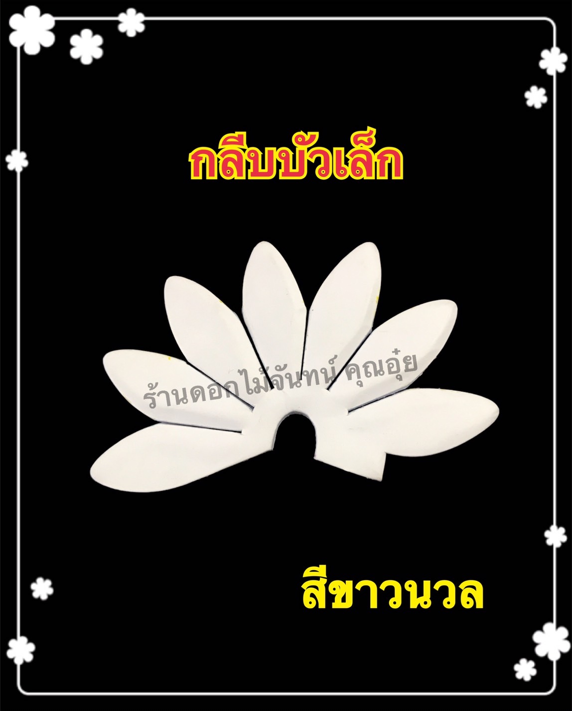 กลีบบัวเล็ก สีขาวนวล