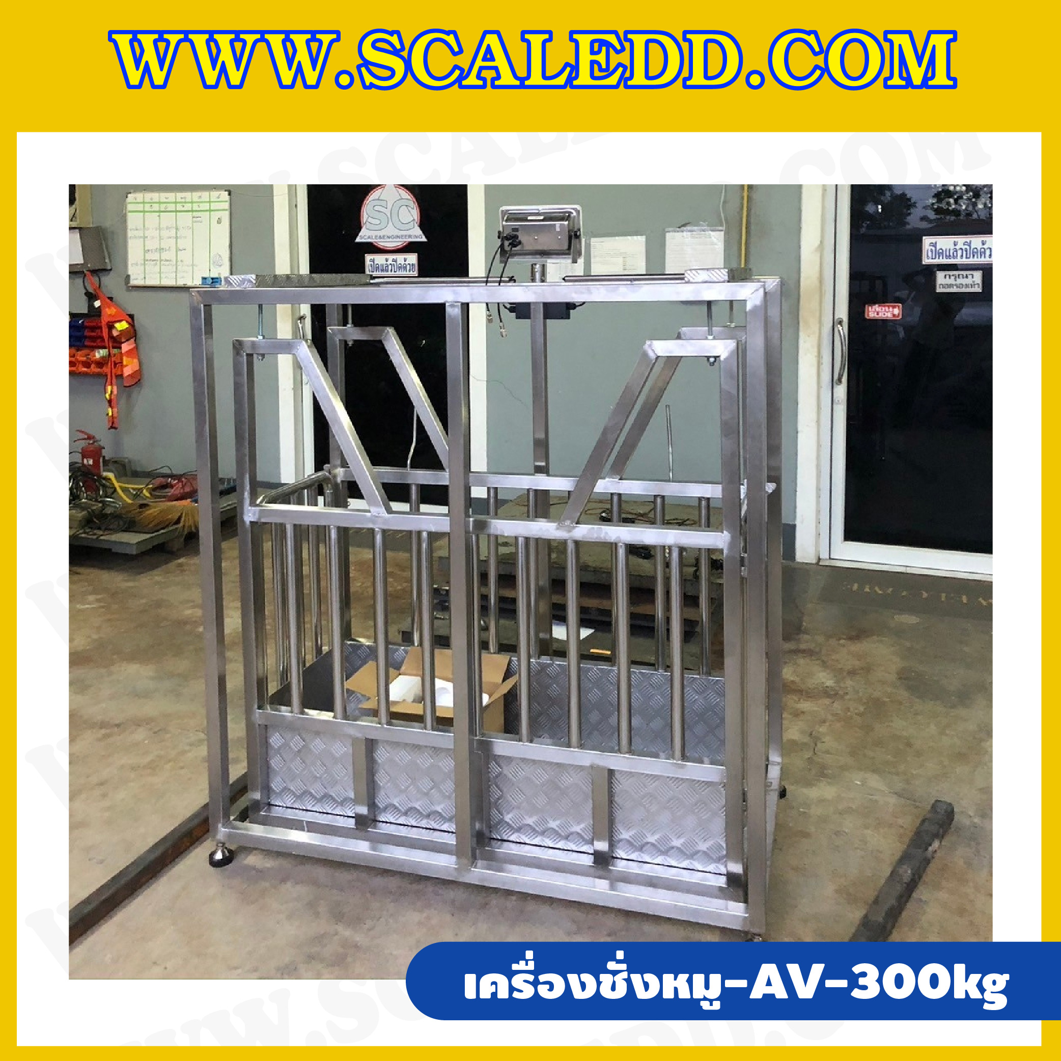เครื่องชั่งหมูแบบมีกรง เครื่องชั่งน้ำหนักหมู กรงชั่งหมูสแตนเลส เครื่องชั่งกรงสัตว์ ชั่งน้ำหนักได้ 300 kg ค่าละเอียด 500g รุ่น AV (เครื่องชั่งผ่านตรวจจากสำนักชั่งตวงวัด)