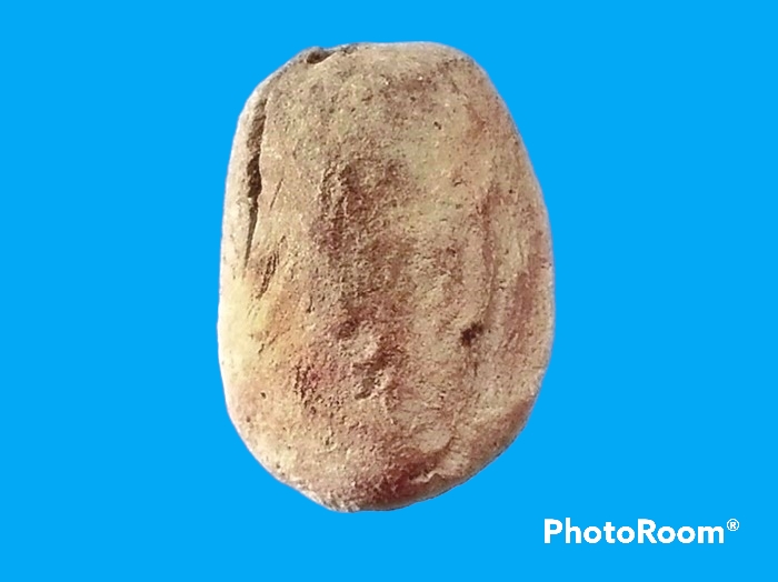 พระเม็ดบัว เจ้าคุณโพธิ์ วัดชัยพฤกษ์มาลา กรุงเทพมหานคร