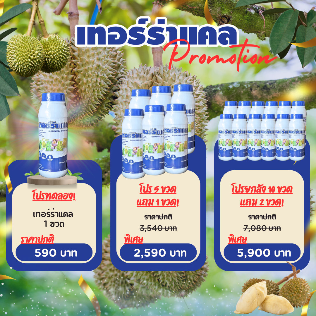 เทอร์ร่าแคล