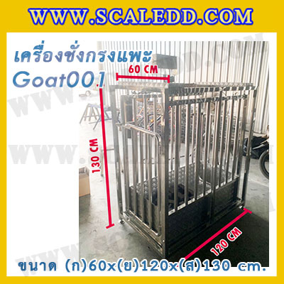 เครื่องชั่งแพะแบบกรงสแตนเลส built in printer ยี่ห้อ SDS รุ่น IDS701-PLCD พิกัด 200kg ความละเอียด 100g ขนาด 60x120x130cm.