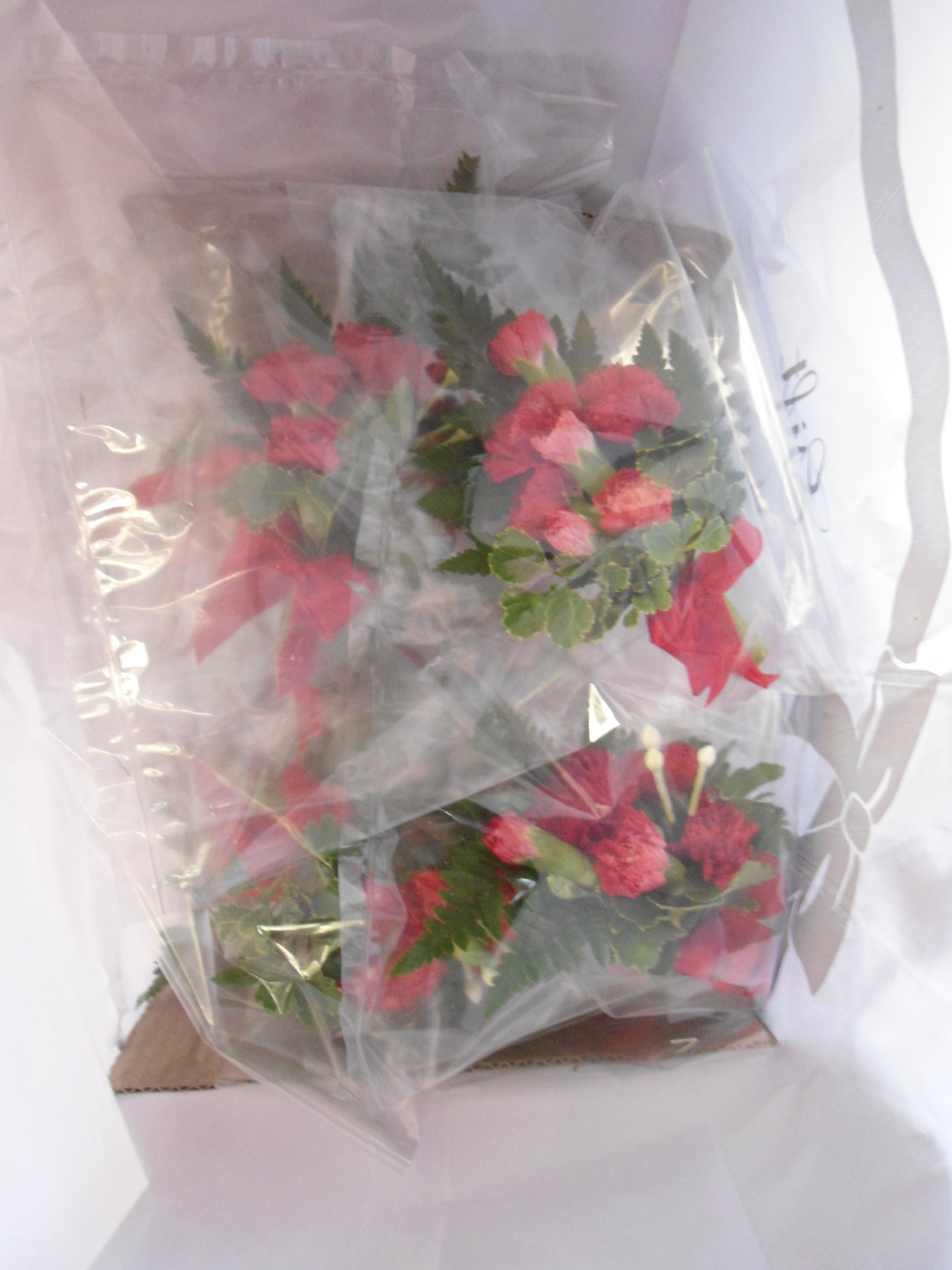 ช่อดอกไม้ติดหน้าอก (ส่งงาน รร.อยุธยาวิทาลัย)