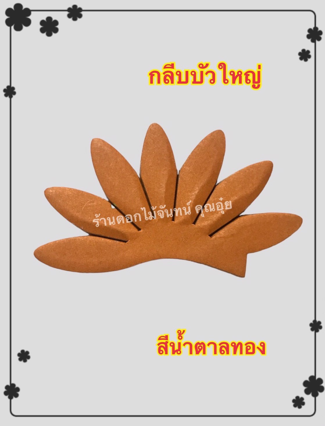 กลีบบัวใหญ่ สีน้ำตาลทอง