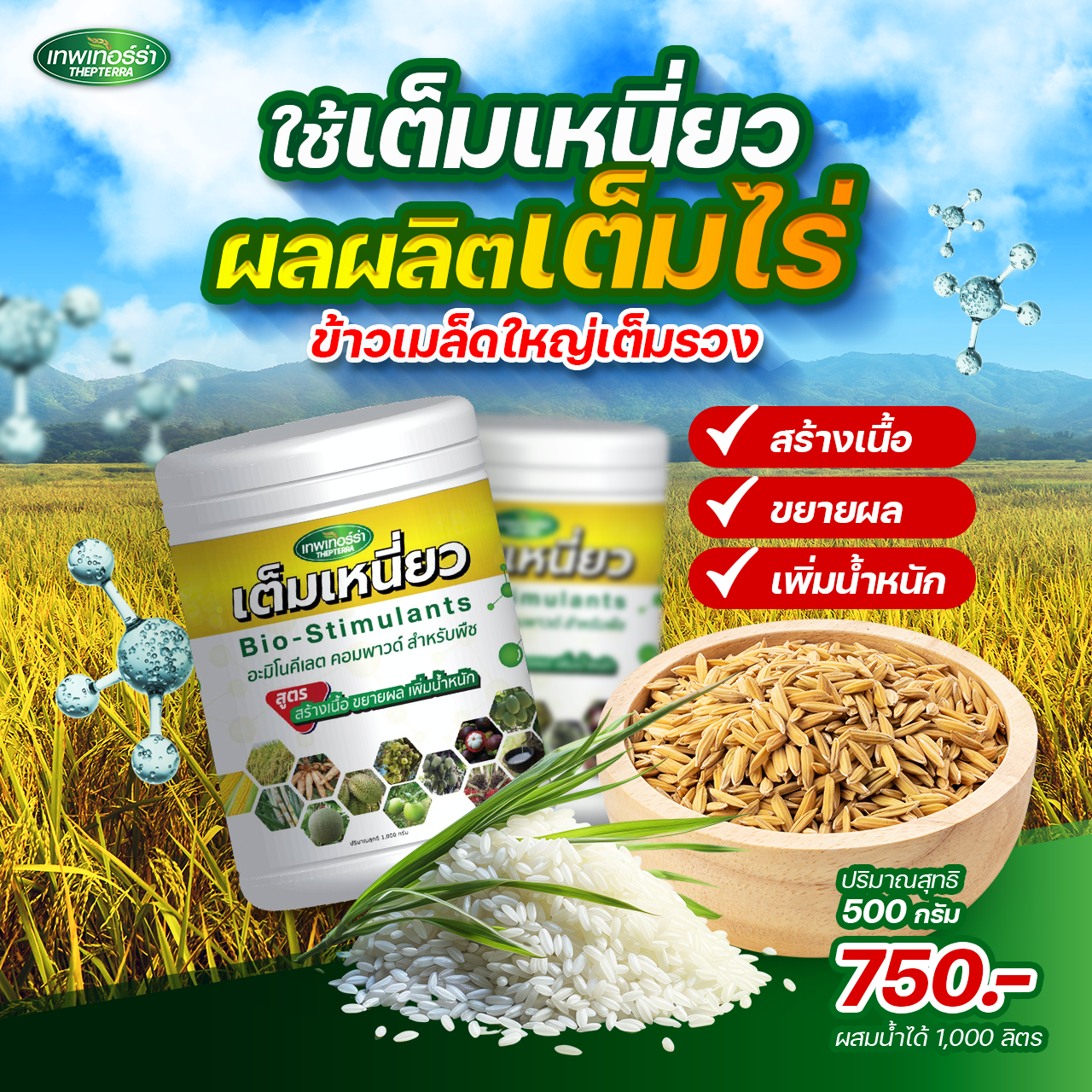 เทอร์ร่าเต็มเหนี่ยว