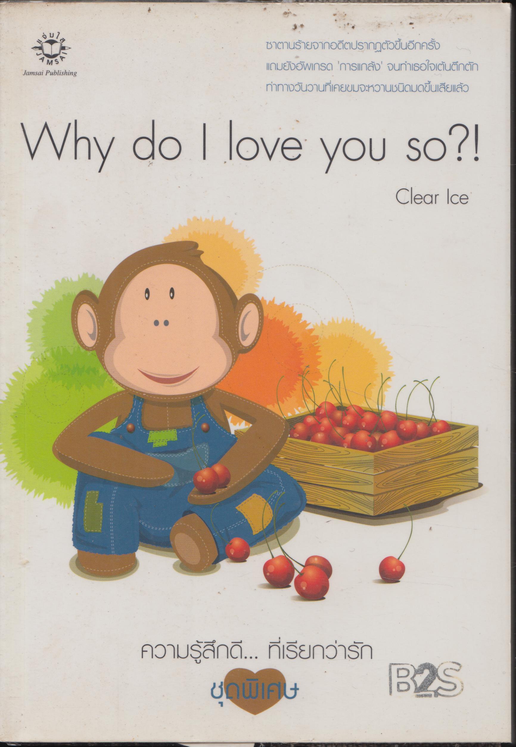 ความรู้สึก...ที่เรียกว่ารัก why do i love you so ? !