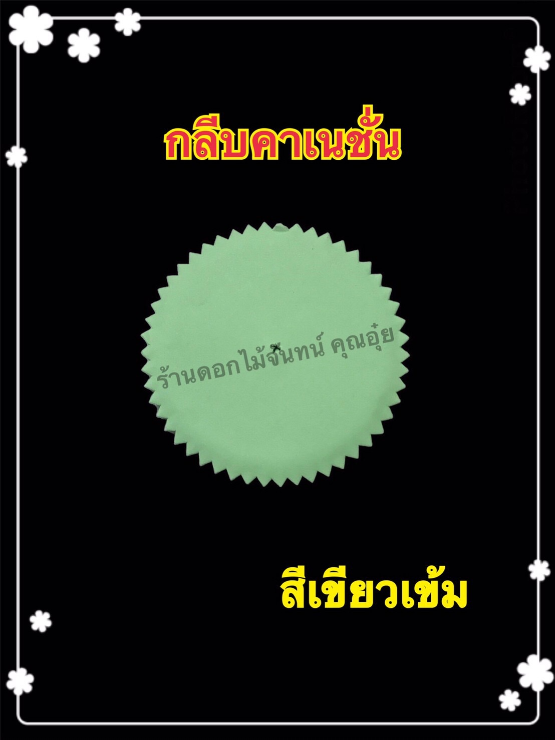 กลีบคาร์เนชั่น สีเขียวเข้ม