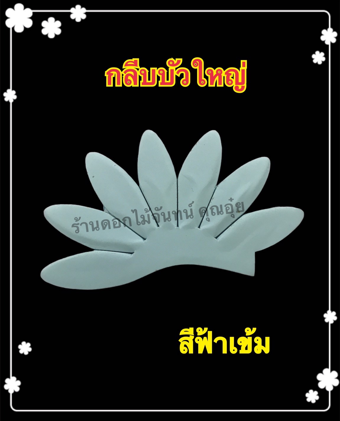 กลีบบัวใหญ่ สีฟ้าเข้ม