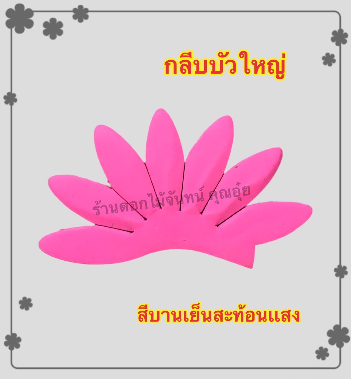 กลีบบัวใหญ่ สีบานเย็นสะท้อน