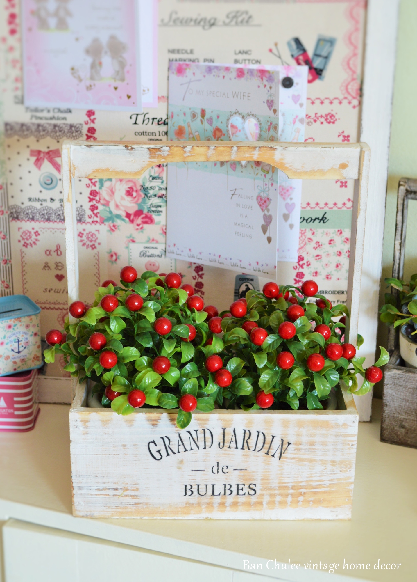 Red Berry In Flowerpot ต้นเบอร์รี่ในกระถาง