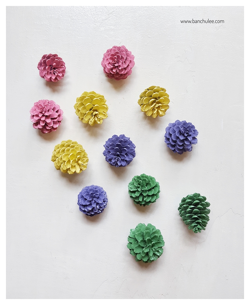 Colorful Pine Cone ลูกสนธรรมชาติ พ่นสี