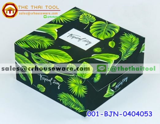 กล่องสแน็ค กรีน ทรอปิคัล รหัสสินค้า 001-BJN-0404053