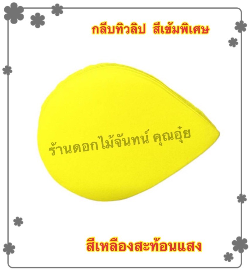 กลีบดอกทิวลิป สีเหลืองสะท้อนแสง