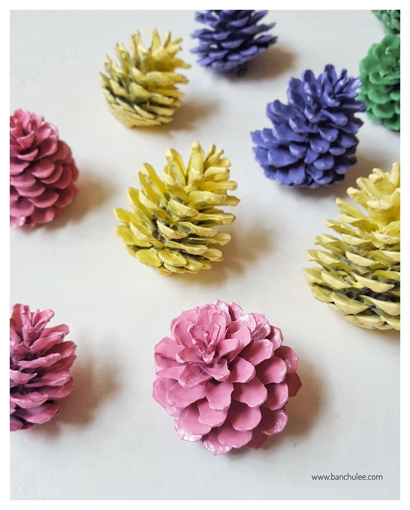 Colorful Pine Cone ลูกสนธรรมชาติ พ่นสี