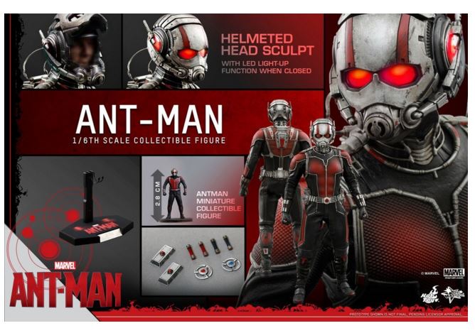 HOTTOYS - Antman