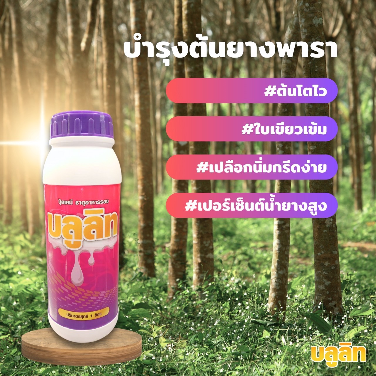 บลูลิท บำรุงต้นยางพารา