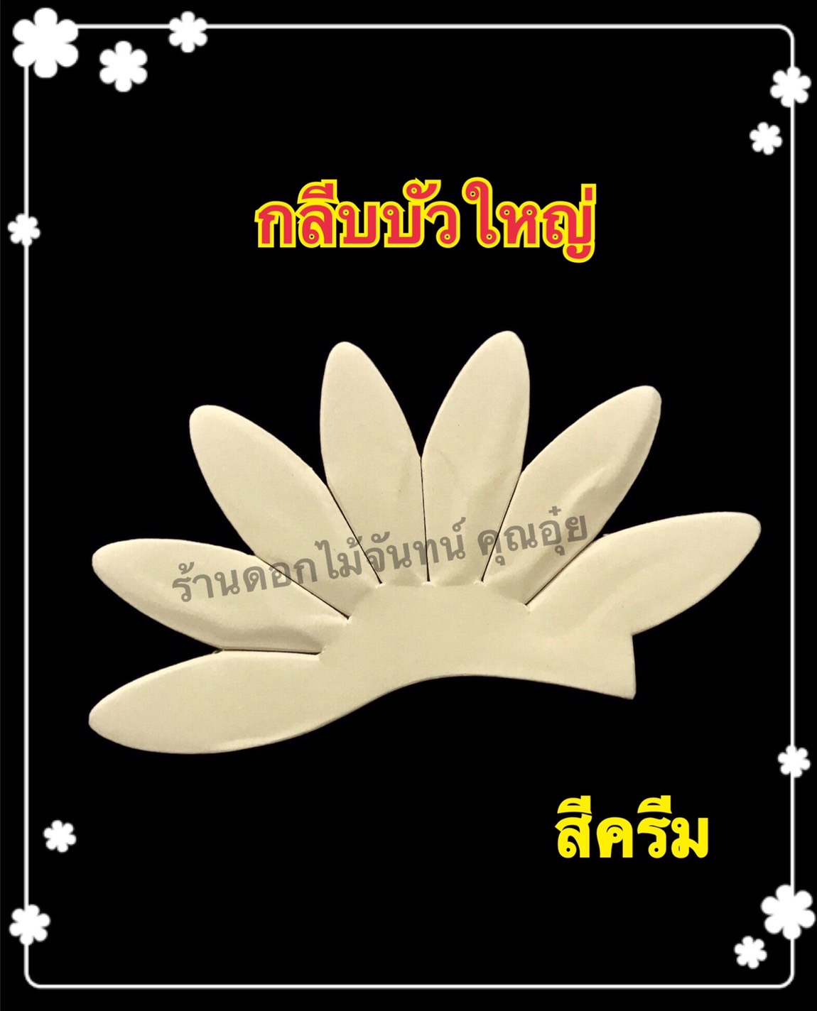 กลีบบัวใหญ่ สีครีม