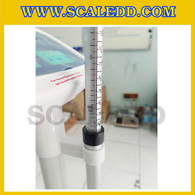 เครื่องชั่งน้ำหนักคน เครื่องชั่งน้ำหนักบุคคล พร้อมที่วัดส่วนสูง และคำนวณค่า BMI ชั่งได้ 250kg ความละเอียด 100g วัดส่วนสูงได้ 203cm