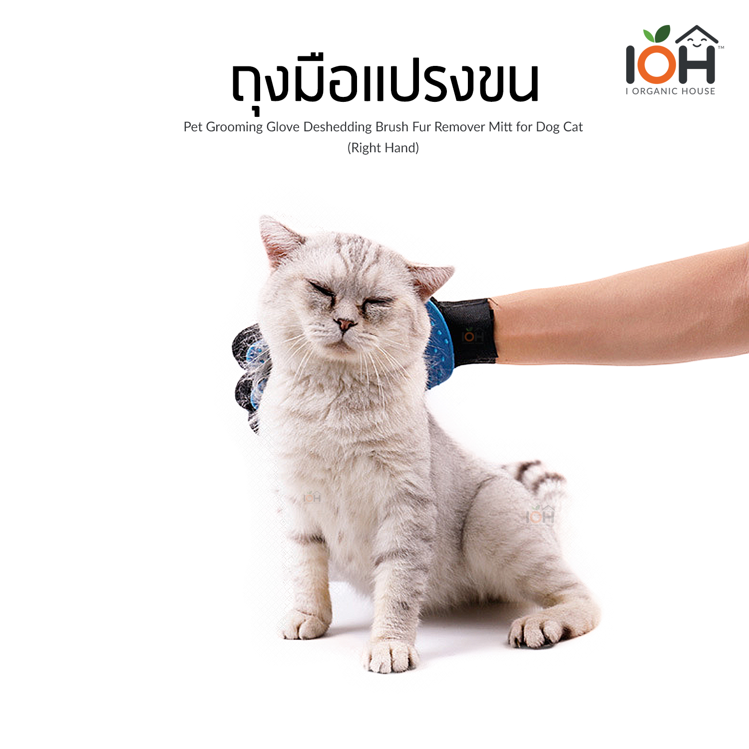 ถุงมือแปรงขน สำหรับสัตว์เลี้ยง