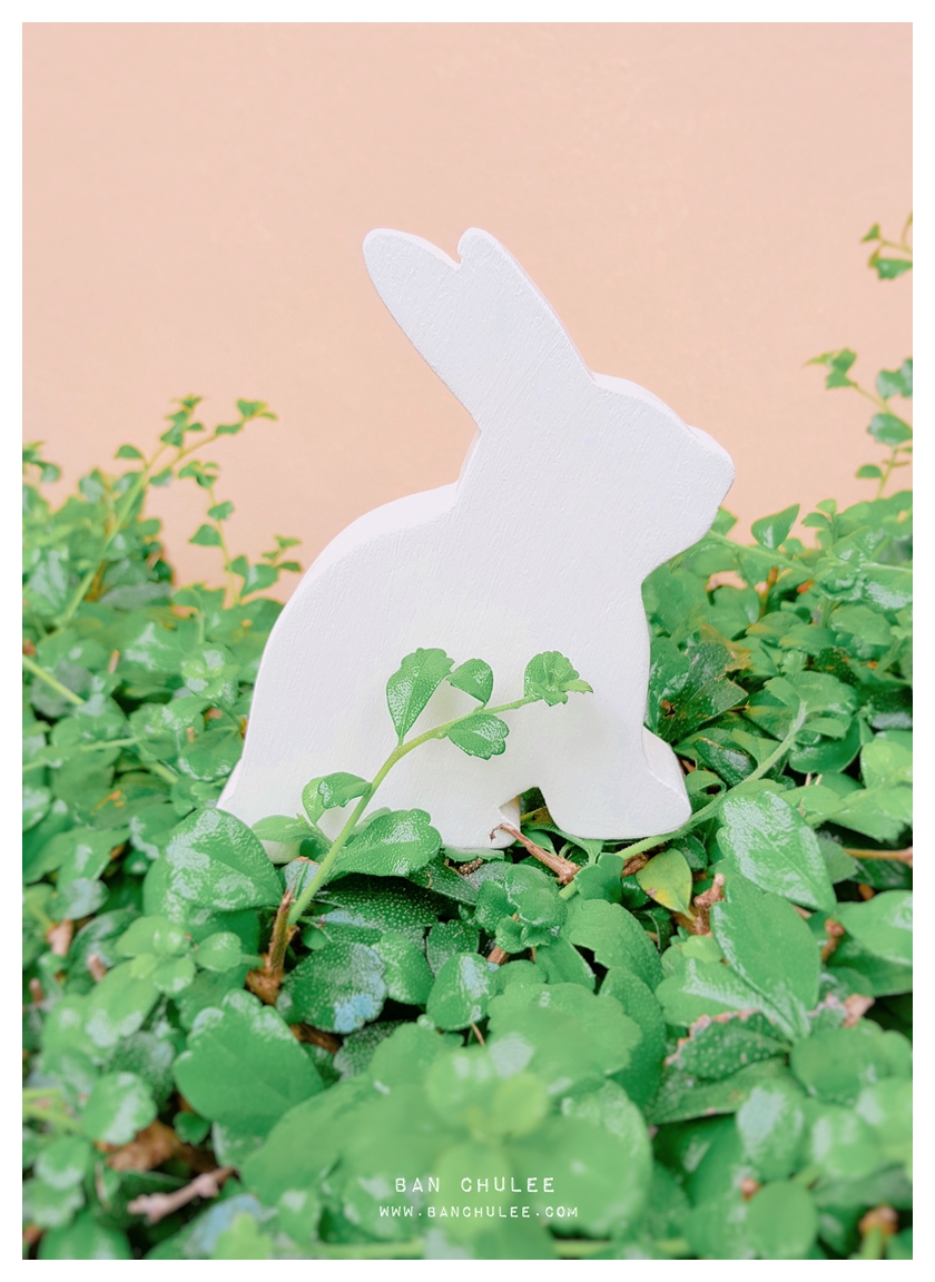 Wooden Bunny - Shredded Wheat