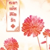 ชะตาแค้นลิขิตรัก เล่ม 2 By Yuan Bao Er มัดจำ 300 ค่าเช่า 60b.
