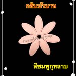 กลีบบัวบาน สีชมพูกุหลาบ