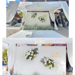 แบคดรอปปลงผมนาค