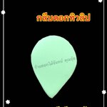 กลีบดอกทิวลิป สีเขียวเข้ม