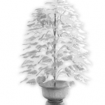 โพธิ์เงิน-โพธิ์ทอง