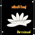 กลีบบัวใหญ่ สีขาวปอนด์
