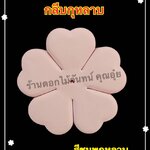 กลีบกุหลาบสีชมพูกุหลาบ