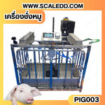 เครื่องชั่งหมูแบบกรงสแตนเลส built in printer ยี่ห้อ SDS รุ่น IDS701-PLCD พิกัด 300kg ความละเอียด 100g