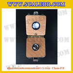 ตุ้มน้ำหนักสแตนเลสเดี่ยวมาตรฐาน5g (Class F2) ตุ้มสแตนเลส5g พร้อมกล่องไม้บุกำมะหยี่ ถุงมือ และผ้าเช็ดตุ้ม สำหรับสอบเทียบน้ำหนักชั่งไม่เกิน 5 กรัม