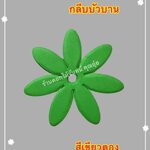 กลีบบัวบาน สีเขียวตอง