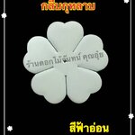 กลีบกุหลาบสีฟ้าอ่อน