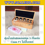 ตุ้มน้ำหนักสแตนเลสชุด 5kg (Class F1 ไม่มีใบเซอร์) ชุดตุ้มน้ำหนักสแตนเลส 5kg พร้อมกล่องไม้บุกำมะหยี่ ถุงมือ และผ้าเช็ดตุ้ม