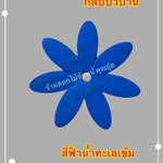 กลีบบัวบาน สีฟ้าน้ำทะเลเข้ม