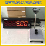 เครื่องชั่งบ่อตกปลา 150 กิโลกรัม พร้อมจอ REMOTE LED DISPLAY ( ตัวเลขสีแดงสูง 5 นิ้ว) เครื่องชั่งแบบตั้งพื้น150Kg ความละเอียด 10g แท่นชั่งขนาด 40x50 cm. ยี่ห้อ TIGER รุ่น TI-02 เครื่องชั่งบ่อปลา เครื่องชั่งบ่อกุ้ง