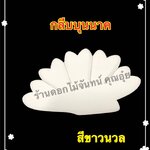 กลีบบุนนาค สีขาวนวล