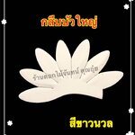 กลีบบัวใหญ่ สีขาวนวล