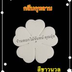 กลีบกุหลาบ สีขาวนวล