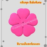 กลีบพุด สีบานเย็นสะท้อนแสง