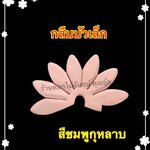 กลีบบัวเล็ก สีชมพูกุหลาบ