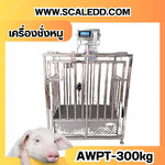 เครื่องชั่งหมูแบบมีกรง เครื่องชั่งน้ำหนักหมู กรงชั่งหมูสแตนเลส เครื่องชั่งกรงสัตว์ ชั่งน้ำหนักได้ 300 kg ค่าละเอียด 500g เครื่องชั่งยี่ห้อ AWENUE รุ่น AWPT (เครื่องชั่งผ่านตรวจจากสำนักชั่งตวงวัด)