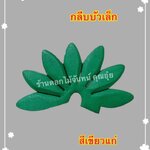 กลีบบัวเล็ก สีเขียวแก่
