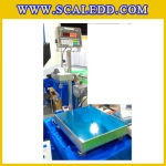 เครื่องชั่งน้ำหนักดิจิตอล300กิโลกรัม เครื่องชั่งกันน้ำ300kg เครื่องชั่งกันน้ำ ตาชั่งกันน้ำ300kg พิกัดน้ำหนัก 300kg ความละเอียด 20g ขนาดแท่น 80*80cm. ยี่ห้อ CAS รุ่น CI200S (เครื่องชั่งผ่านตรวจรับรองจากสำนักชั่งตวงวัดกรณีใช้ชั่งซื้อขาย)