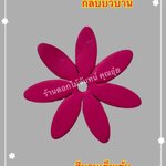 กลีบบัวบาน สีบานเย็นเข้ม