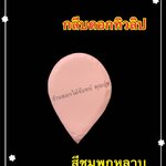 กลีบดอกทิวลิป สีชมพูกุหลาบ