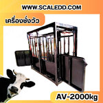 เครื่องชั่งวัวแบบกรง เครื่องชั่งวัว2000kg เครื่องชั่งสัตว์2ตัน เครื่องชั่งกรงสัตว์ เครื่องชั่งน้ำหนัก2000kg ตาชั่งวัว2ตัน ตาชั่งน้ำหนักวัว เครื่องชั่งวัวแบบดิจิตอล รุ่น AV (เครื่องชั่งผ่านตรวจจากสำนักชั่งตวงวัด)